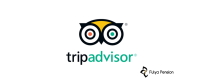 tripadvisor logo