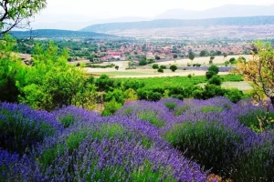 Lavanta Kokulu Bir Kaçamak